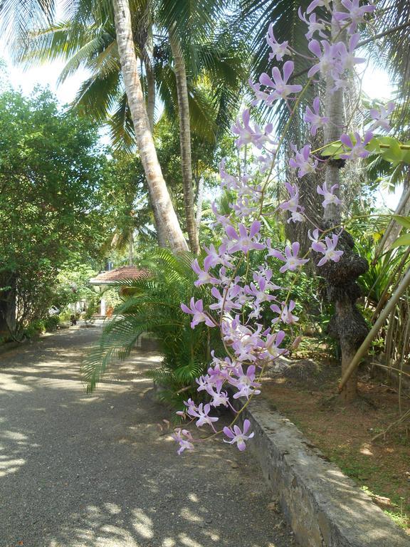 Вилла Kia Ora Beach Bungalow Индурува Номер фото